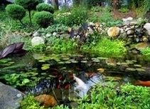 Atlantic Water Gardens Pond Installed 1
